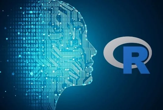 Machine Learning in R Courses Cape Town