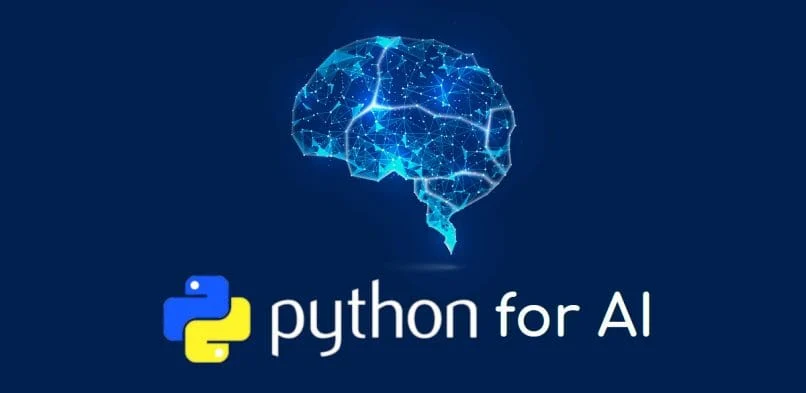 AI Programming with Python Courses Durban