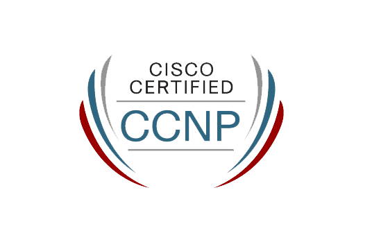 Cisco Certified Network Professional Course