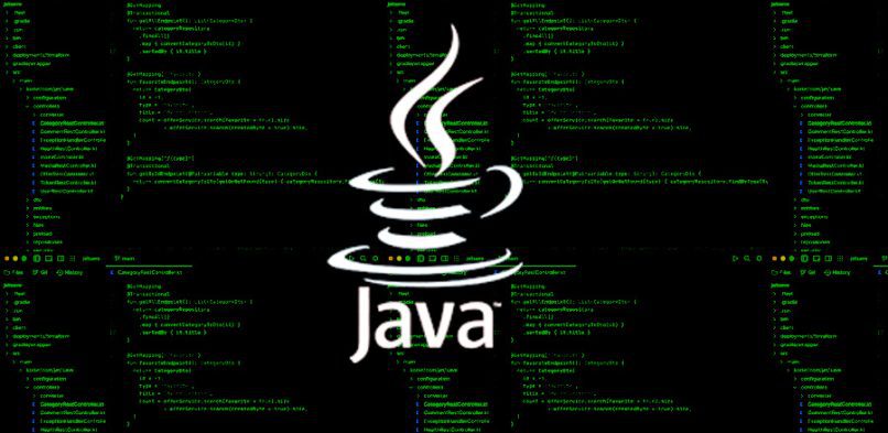 Java Developer Salary Trends in South Africa