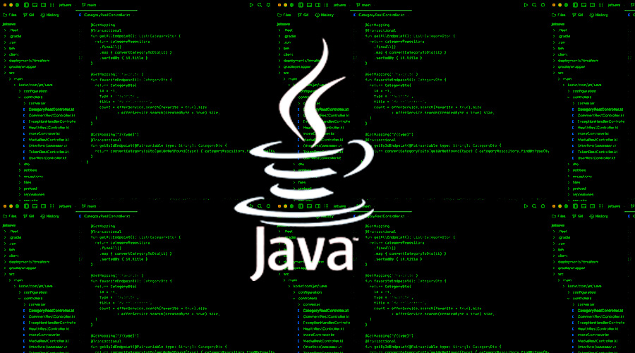 Java Developer Salary Trends in South Africa