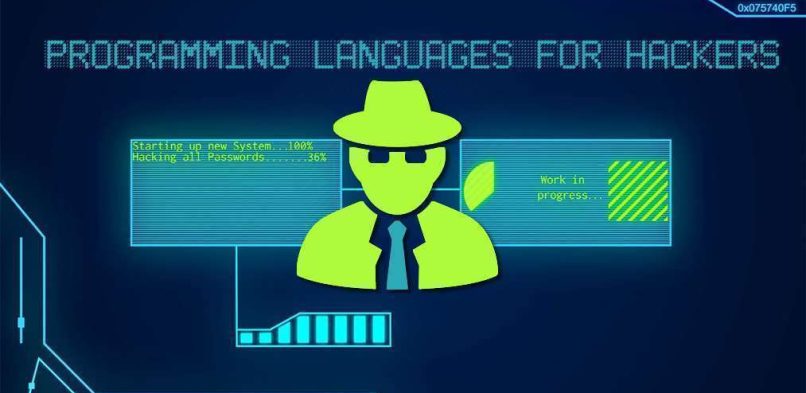 Most popular programming languages for hacking