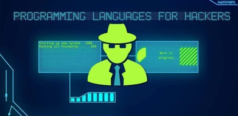 5 Best Programming Languages for Hacking