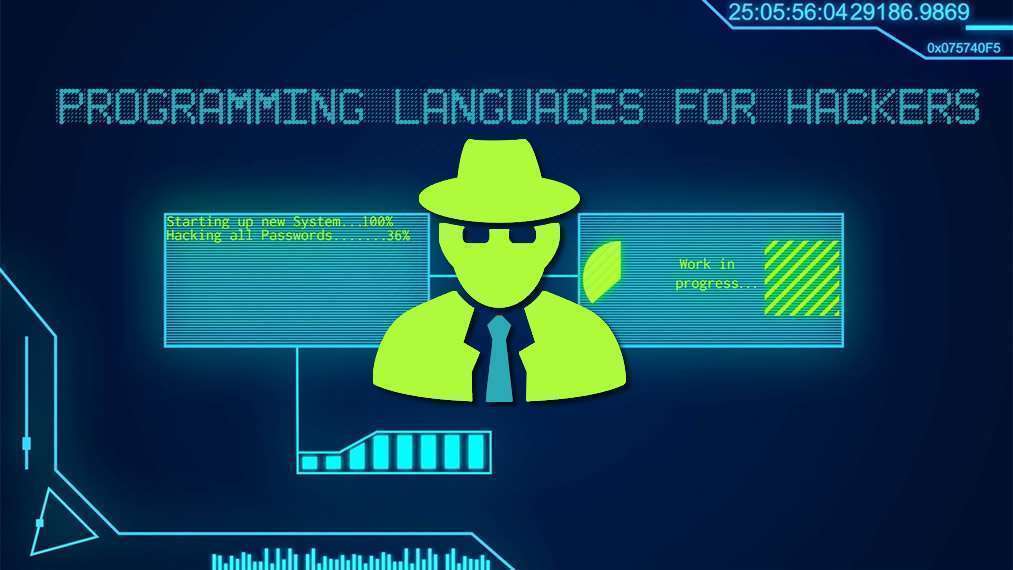 most popular programming languages for hacking
