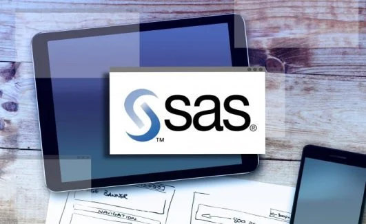 SAS Courses South Africa, SAS Courses